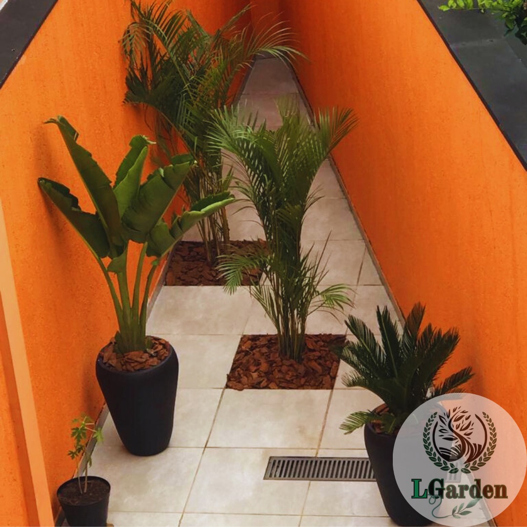 Depois do projeto LGarden
