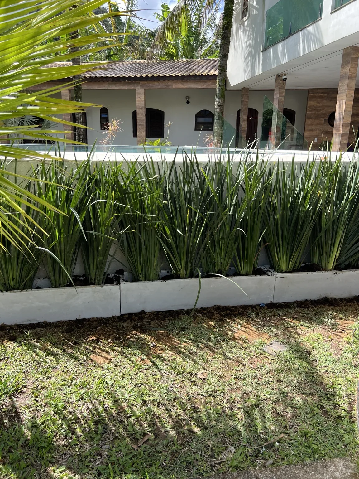 Plantio linear junto ao muro